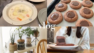 〈vlog〉寒い休日の過ごし方❄️/ガナッシュクッキー/スタバ🥤/シチュー