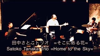 田中さとこトリオ 『そこにある花』　Satoko Tanaka trio 『Home to the Sky』