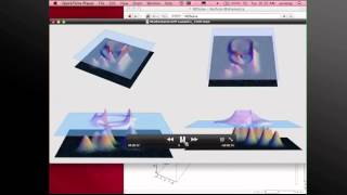 Mathematica Experts Live: Visualization Q&A 2012