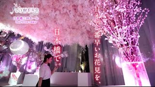 FLOWERS by NAKED 2017 ー立春ー 15sec SPOT