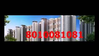 Nirala Greenshire Noida Extension | Nirala Greenshire Greater Noida