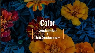Complementary & Split Complementary