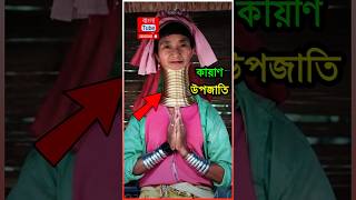 থাইল্যান্ডের লম্বা গলার কারেন উপজাতি 😱 | 🤯 Thailand's Long Neck Tribe - Karen Hill Tribe #shorts