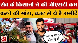 Shimla : Himachal के सेब किसानों को Budget से है ये उम्मीदें | Amar Ujala | Latest news