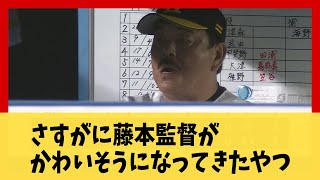 【唖然】さすがに藤本監督がかわいそうになってきたやつ【野球】【2ch 5ch スレ】