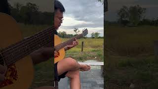 ทุ่งนาสีทองไม่ชอบเลย ชอบสีเขียวมากกว่า #fingerstyleguitar