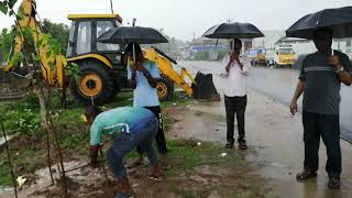 Tree saplings planting in Paraiyar, Nagapattinam Dt on 20.10.2019