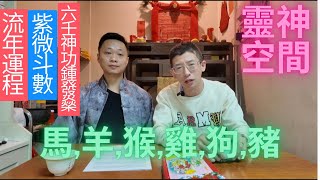 鍾師父 2025年紫微斗數（十二生肖流年運程）馬,羊,猴,雞,狗,豬,詳細講解,