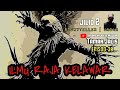 EPISOD 30 | ILMU RAJA KELAWAR | JILID 2 |TAMAR JALIS | RADIO 12 MALAM