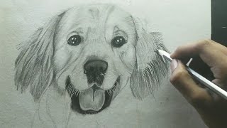 How to draw a dog-part 1| How to measure outline | How to draw animal fur| Tutorial