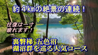 福島裏磐梯　五色沼　約4㎞の連続絶景！　#五色沼　#毘沙門沼　#青沼　#赤沼　#桧原湖　#弁天沼　#るり沼　#弁天沼　#みどろ沼　#裏磐梯　#エメラルドグリーン　#絶景　#ひげジジイの日本旅