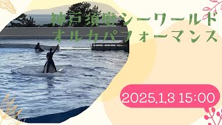 神戸須磨シーワールド　オルカパフォーマンス　2025.1.3 15:00