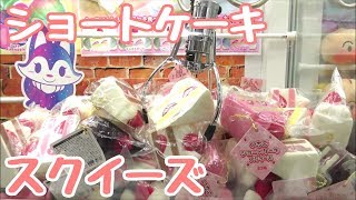 ケーキスクイーズ取り放題の優しいクレーンゲーム1000円分プレイ！ゲット\u0026紹介！