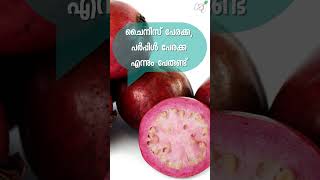 കേരളത്തിൽ താരമായി സ്ട്രോബറി പേരയ്ക്ക | strawberry guava | fruit |  healthy food | lifestyle | taste