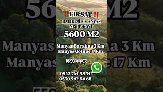 Balıkesir Manyas NecipKöy 5600 M2 Fırsat