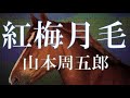 【朗読】紅梅月毛　山本周五郎　読み手 アリア