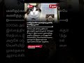 மனிதர்களின் மரணத்தை முன்பே கணித்த பூனை cat mystery