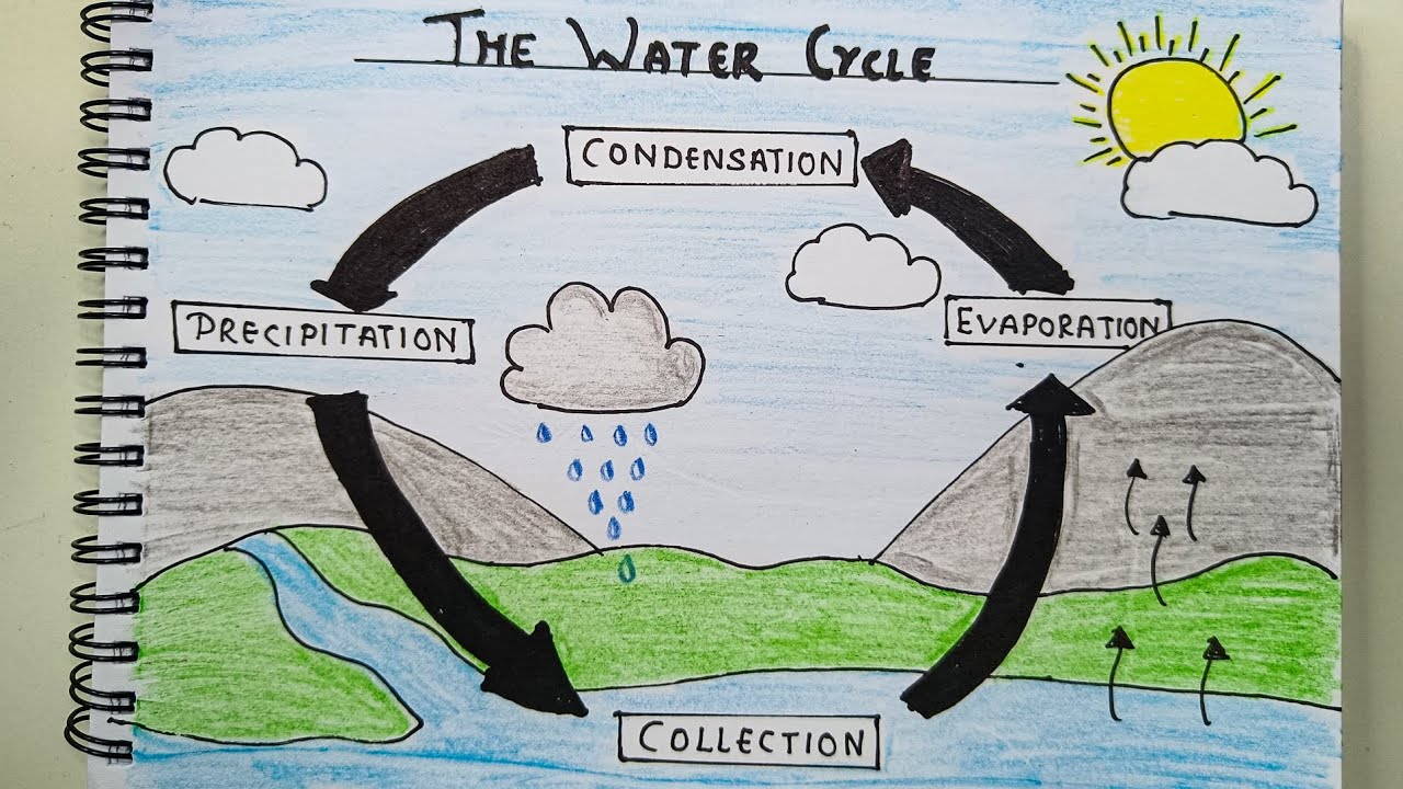 How To Draw A Water Cycle Diagram | Class 3 Water Cycle Science Diagram ...