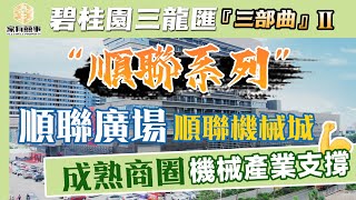 佛山順德 碧桂園三龍匯 三部曲 Ⅱ丨佛山市順聯集團系列丨20年成熟商圈—順聯廣場丨華南最大機械交易市場—順聯機械城丨商業+產業保駕護航丨廣州\