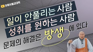 [불교] 우학스님 생활법문 (방생 공덕)