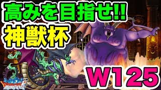 【DQMSL】高みを目指せ、神獣杯！闘技場マスターズGPウエイト125【No.110】