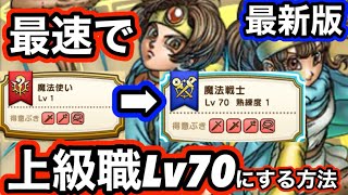 【ドラクエウォーク】【5周年対応版】メタルキングの大剣で基本職Lv1〜50+上級職Lv70まで最速でレベル上げる方法＆おすすめ特級職について解説！ゼロから始める【ドラゴンクエストウォーク】part16