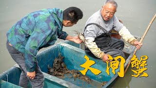 一年没吃大闸蟹了，阿烽直接跑到阳澄湖去抓，太怀念这一口了