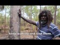 Hamish Garrgarrku - Maningrida Artist.