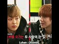 exo luhan picks xiumin as the most handsome member of exo 😍