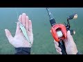 Catch 10x MORE Fish Using A Jerkbait (Bass Fishing Tips)