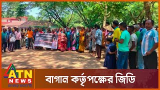 চা শ্রমিকদের ধর্মঘট, ফিনলে ৫ চা বাগানের জিডি | Country Tea Laborer Strike | Moulovibazar | ATN News