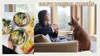 what I ate today feat. simple vegan recipes