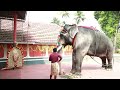 thiruvulsavam kaprassery sree krishna swami temple