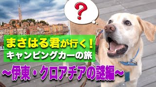 【まさはる君とヨーロッパの旅？】まさはる君が行く！松本君のキャンピングカー犬Tuberペットの旅！〜伊東・クロアチアの謎編〜