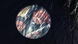 DJ Shadow \u0026 Cut Chemist ‎– Brainfreeze (2001)