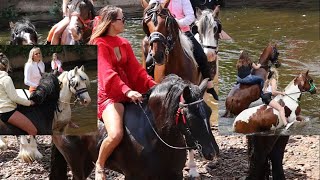 Fun Swimming for Horses at Appleby Horse Fair Horseback Riders on Carriage Cart