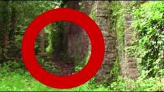 Cemetery Apparition. Real Ghost Caught on Tape in Haunted Graveyard