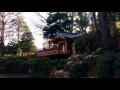 tokyo japan travels 2016 nezu shrine