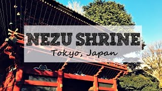 Tokyo Japan Travels 2016: Nezu Shrine