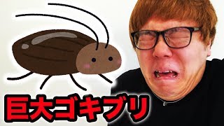 【超閲覧注意】ヒカキン vs 巨大ゴキブリ【2017ver. 】