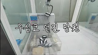 짧고 굵게 5만원에 버즈플러스,갤럭시탭 뽑기!!