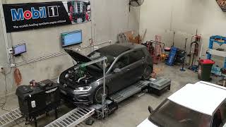 700WHP MK7.5R Dyno Run - 8K RPM - Crazy Sound!