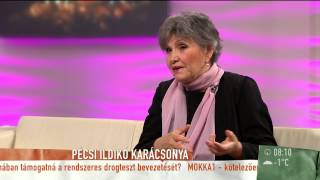 Pécsi Ildikó ünnepi hangulatot teremtett a stúdióban - 2014.12.11 - tv2.hu/mokka