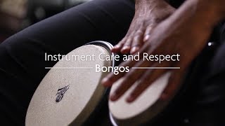 How to Care for Bongos