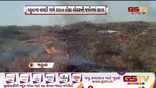 Bhavnagar : મહુવાના વાવડી ગામે 2500 વીઘા ગૌચરની જમીનમાં આગ | Gstv Gujarati News