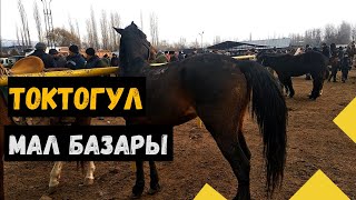 Токтогул Мал базар (01.01.22)