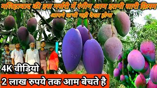 अवध नर्सरी मलिहाबाद । मलिहाबाद नर्सरी का पता | malihabad mango nursery | malihabad mango news |