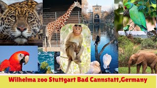 Wilhelma Zoo Stuttgart| Wilhelma #Zoo| #Stuttgart Germany|