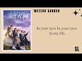 【𝐏𝐈𝐍𝐘𝐈𝐍】Meteor Garden Ost - Love, Exist【Wei Qi Qi/Kiki Wei】Pin Lyrics