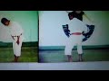 shimabuku tatsuo sensei compare seisan 十三 kata and sunsu スンス kata